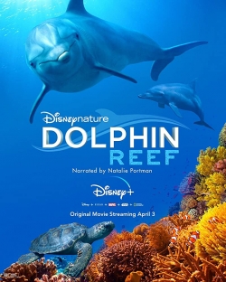 Dolphin Reef-fmovies