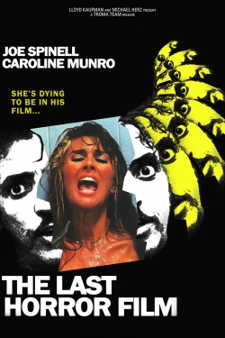 The Last Horror Film-fmovies