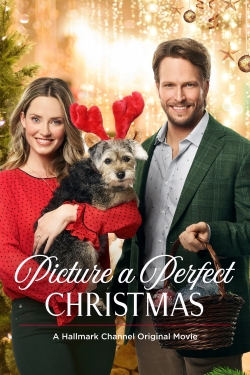 Picture a Perfect Christmas-fmovies