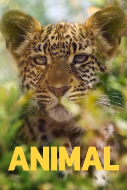 Animal-fmovies