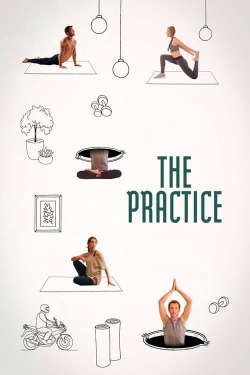 The Practice-fmovies