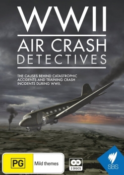 WWII Air Crash Detectives-fmovies