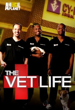 The Vet Life-fmovies