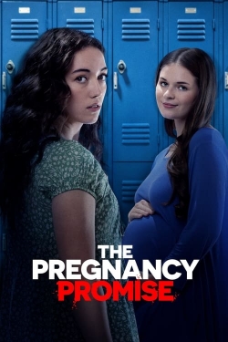 The Pregnancy Promise-fmovies