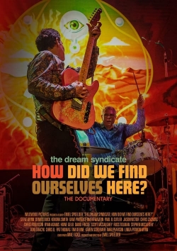 The Dream Syndicate: How Did We Find Ourselves Here?-fmovies