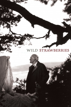 Wild Strawberries-fmovies