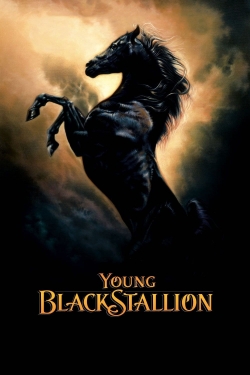 Young Black Stallion-fmovies