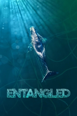 Entangled: The Race to Save Right Whales from Extinction-fmovies