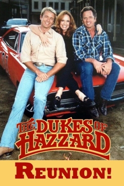 The Dukes of Hazzard: Reunion!-fmovies