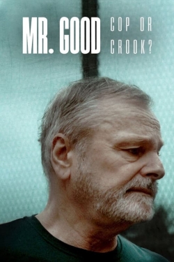 Mr. Good: Cop or Crook?-fmovies