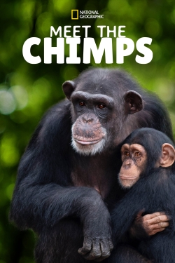 Meet the Chimps-fmovies