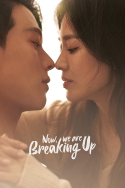 Now, We Are Breaking Up-fmovies
