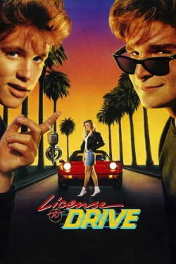 License to Drive-fmovies