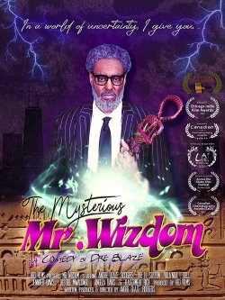 The Mysterious Mr. Wizdom-fmovies