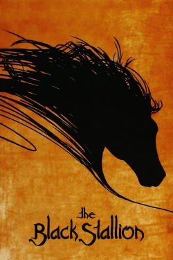 The Black Stallion-fmovies
