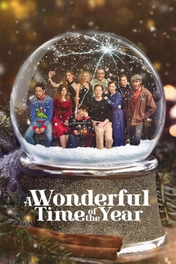 A Wonderful Time of the Year-fmovies