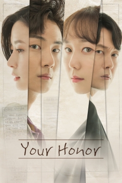 Your Honor-fmovies