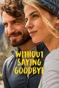 Without Saying Goodbye-fmovies