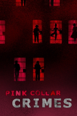 Pink Collar Crimes-fmovies