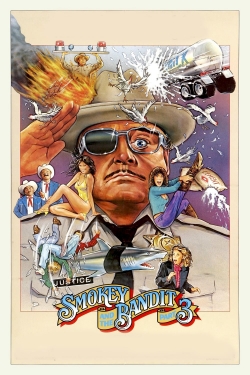 Smokey and the Bandit Part 3-fmovies