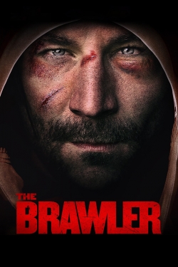 The Brawler-fmovies