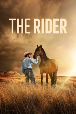 The Rider-fmovies