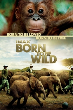 Born to Be Wild-fmovies