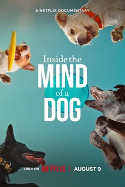 Inside the Mind of a Dog-fmovies