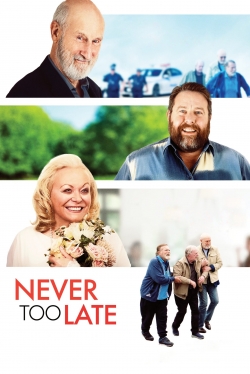 Never Too Late-fmovies
