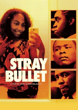Stray Bullet-fmovies