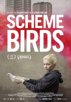 Scheme Birds-fmovies
