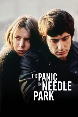 The Panic in Needle Park-fmovies