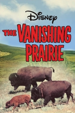 The Vanishing Prairie-fmovies