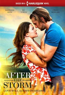 After the Storm-fmovies