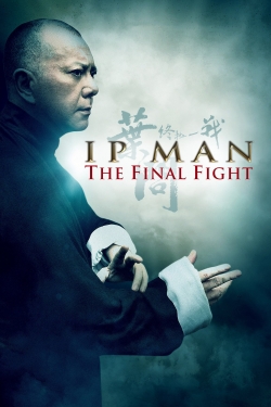 Ip Man: The Final Fight-fmovies