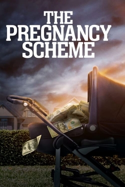 The Pregnancy Scheme-fmovies