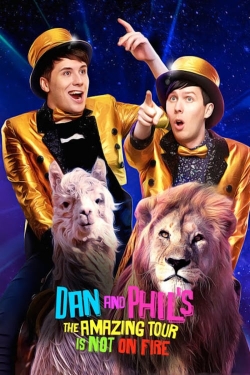 Dan and Phil's The Amazing Tour is Not on Fire-fmovies