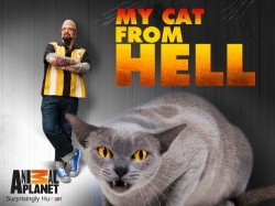 My Cat from Hell-fmovies