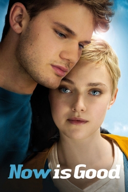 Now Is Good-fmovies
