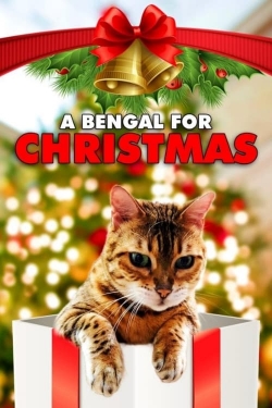 A Bengal for Christmas-fmovies
