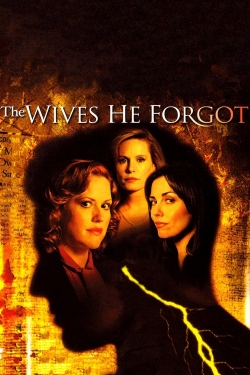 The Wives He Forgot-fmovies