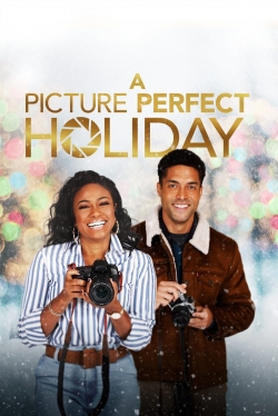 A Picture Perfect Holiday-fmovies