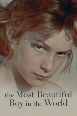 The Most Beautiful Boy in the World-fmovies