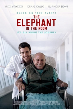 The Elephant In The Room-fmovies