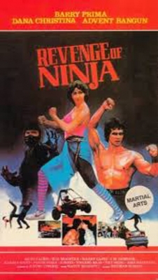 Revenge of the Ninja-fmovies