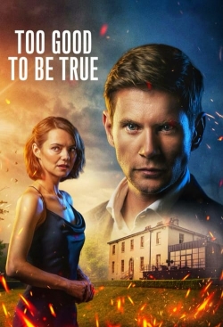 Too Good To Be True-fmovies