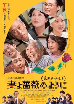 What a Wonderful Family! 3: My Wife, My Life-fmovies