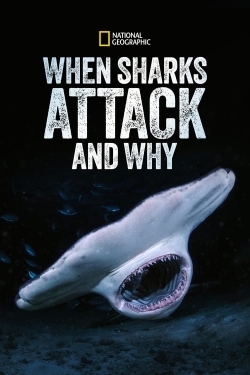 When Sharks Attack... and Why-fmovies