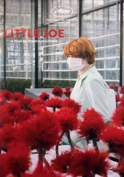 Little Joe-fmovies
