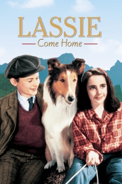 Lassie Come Home-fmovies